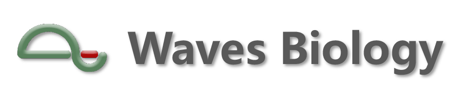 Waves Web